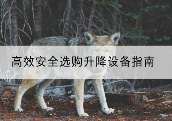 台安升降货梯厂家推荐-*安全选购升降设备指南