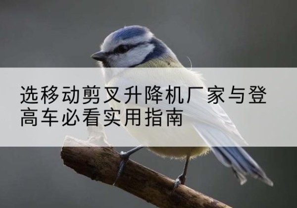 台安电动升降机厂家-选移动剪叉升降机厂家与登高车必看实用指南