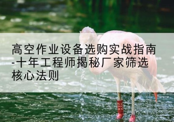 台安剪叉式升降机厂家-高空作业设备选购实战指南-十年工程师揭秘厂家筛选核心法则